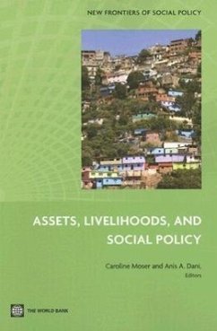 Assets, Livelihoods, and Social Policy