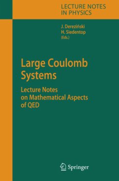 Large Coulomb Systems - Derezinski, Jan / Siedentop, Heinz (eds.)