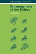 Organogenesis of the Kidney - Bild 1