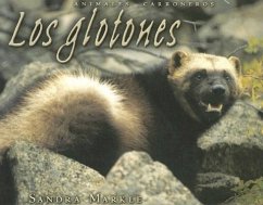 Los Glotones - Markle, Sandra