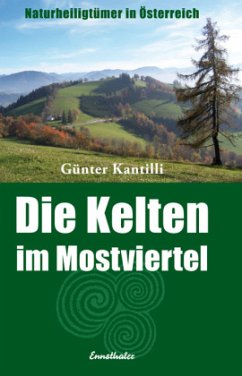 Cover Die Kelten im Mostviertel