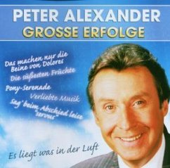 Cover Große Erfolge