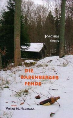 Die Babenberger Fehde - Spies, Joachim