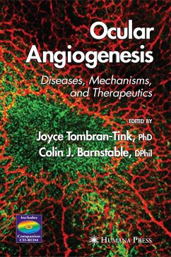 Ocular Angiogenesis - Tink, Tombran-