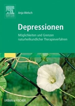 Depressionen - Welsch, Anja