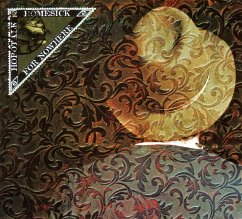 Cover Homesick For Nowhere