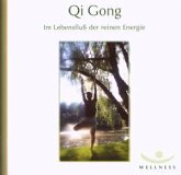 Qi Gong Qi Gong