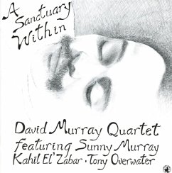 A Santuary Within - Murray,David