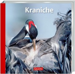 Kraniche - Rolfes, Willi