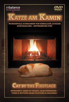 Katze am Kamin - Diverse