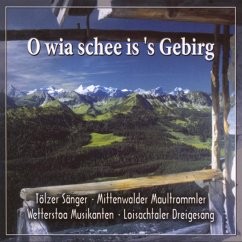 O Wia Schee Is 'S Gebirg - Tölzer Sänger/Wetterstoa Musikanten/+