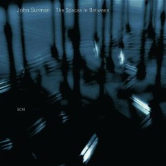 The Spaces In Between (2007) - Surman,John