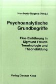 Psychoanalytische Grundbegriffe Psychoanalytische Grundbegriffe