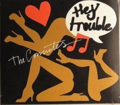 Cover Hey Trouble