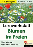 Lernwerkstatt Blumen im Freien