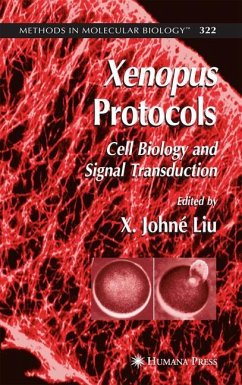 Xenopus Protocols - Liu, X. Johné (ed.)