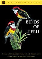 Birds of Peru - Schulenberg, Thomas S. / Stotz, Douglas F. / Lane, Daniel F. / O'Neill, John P. / Parker, Theodore P., III