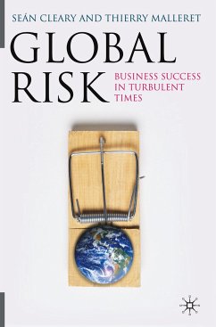 Global Risk - Cleary, Sean;Malleret, Thierry