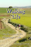 Walking Life