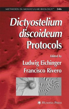 Dictyostelium Discoideum Protocols - Eichinger, Ludwig (ed.)