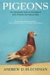 Pigeons - Bild 1