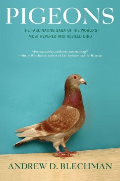 Pigeons - Blechman, Andrew D.