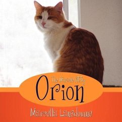 Orion The Miracle Kitty