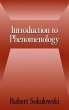 Introduction to Phenomenology - Bild 1