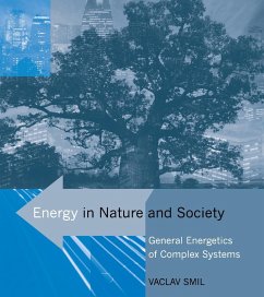 Energy in Nature and Society Cover Energy in Nature and Society
