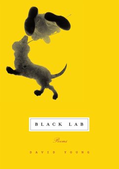 Black Lab: Poems - Young, David