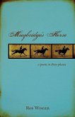 Muybridge's Horse: A Poem in Three Phases