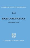 Rigid Cohomology