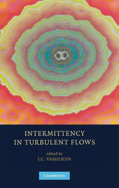 Intermittency in Turbulent Flows - Vassilicos, J. C. (ed.)