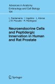 Neuroendocrine Cells and Peptidergic Innervation in Human and Rat Prostrate