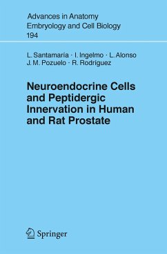 Neuroendocrine Cells and Peptidergic Innervation in Human and Rat Prostrate - Santamaria, Luis;Ingelmo, Ildefonso;Alonso, Lucía