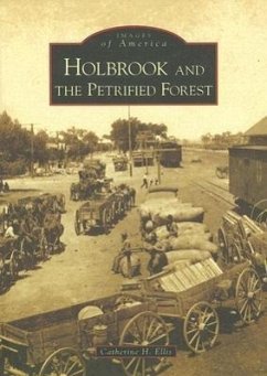 Holbrook and the Petrified Forest - Ellis, Catherine H.