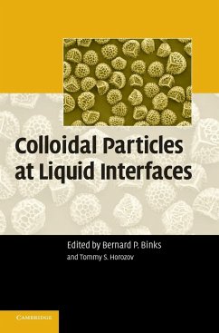 Colloidal Particles at Liquid Interfaces - Binks, Bernard P. / Horozov, Tommy S. (eds.)