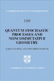 Quantum Stochastic Processes and Noncommutative Geometry