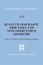 Quantum Stochastic Processes and Noncommutative Geometry - Sinha, Kalyan B; Goswami, Debashish