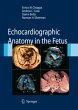 Echocardiographic Anatomy in the Fetus - Bild 1