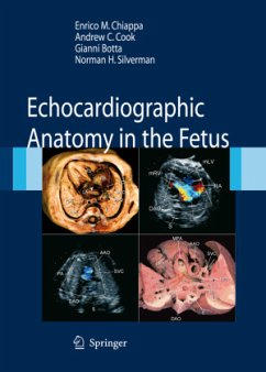Echocardiographic Anatomy in the Fetus - Chiappa, Enrico;Cook, Andrew C.;Botta, Gianni