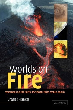 Worlds on Fire - Frankel, Charles