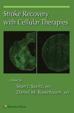 Stroke Recovery with Cellular Therapies - Rosenbaum, Daniel M. (ed.)