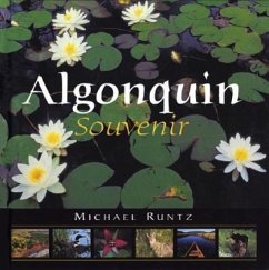 Algonquin Souvenir - Runtz, Michael