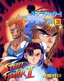 Street Fighter II, Volume 3