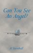 Can You See An Angel? - Bild 1