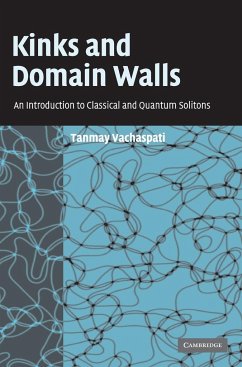 Kinks and Domain Walls - Vachaspati, Tanmay