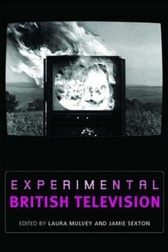 Experimental British Television - Laura Mulvey Is Professor of Film and Me