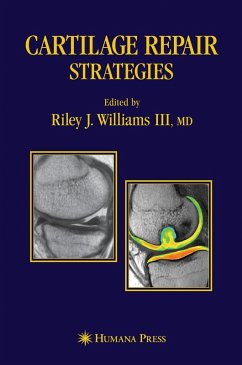 Cover Cartilage Repair Strategies