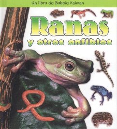 Ranas Y Otros Anfibios (Frogs and Other Amphibians) - Kalman, Bobbie